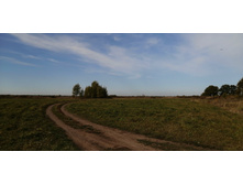 IMG 20200927 101745.jpg