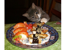 ������� ��������� ...