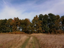 IMG 20200927 103645.jpg