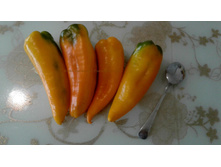 �������� (1).jpg