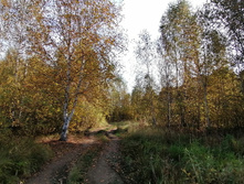 IMG 20200927 112014.jpg