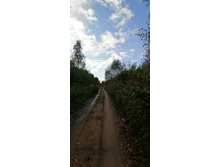 IMG 20200920 155808.jpg