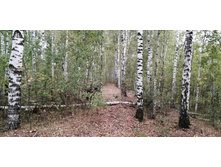 IMG 20200918 104823.jpg