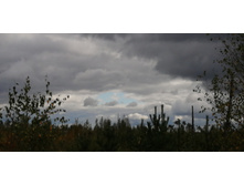 IMG 20200916 113615.jpg