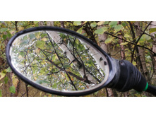 IMG 20200919 103712.jpg