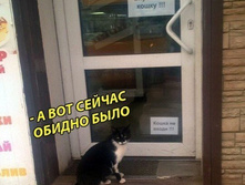 � ��� ������ ������ ���� ...