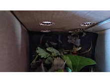 IMG 20200914 103019 HHT.jpg