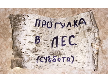 IMG 20200915 081443.jpg