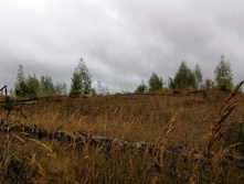 IMG 20200919 131713.jpg