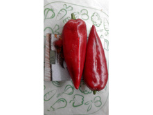 ����� ��������� (3).jpg