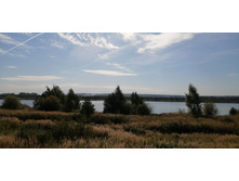 IMG 20200906 094042.jpg