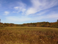 IMG 20200927 111948.jpg