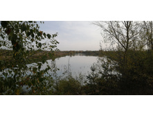 IMG 20200927 095524.jpg