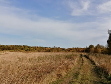 IMG 20200927 110150.jpg