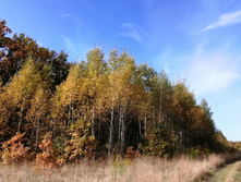 IMG 20200927 113019.jpg