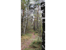 IMG 20200918 115949.jpg