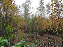 IMG 20200919 114245.jpg