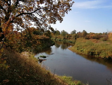 IMG 20200927 104510.jpg