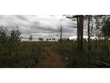 IMG 20200918 145913.jpg