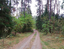 IMG 20200920 134117.jpg