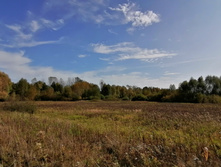 IMG 20200927 123711.jpg