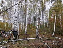 IMG 20200919 122928.jpg