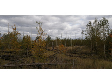 IMG 20200914 153143.jpg