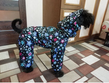 ����������� viber 2020-08-19 17-46-25.jpg