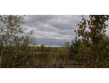 IMG 20200914 152943.jpg