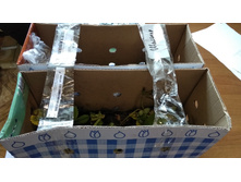 IMG 20200914 102951.jpg