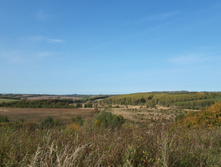 2020-09-26 12-07-10.jpg