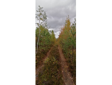 IMG 20200918 135659.jpg