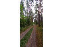 IMG 20200920 134411.jpg