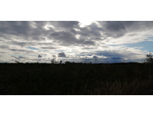 IMG 20200918 154007.jpg