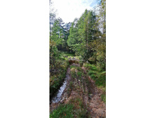 IMG 20200920 141109.jpg