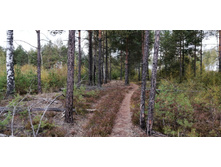 IMG 20200918 144420.jpg