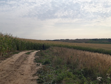 2020-09-26 13-10-55.jpg