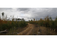 IMG 20200918 132635.jpg