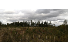 IMG 20200918 140427.jpg