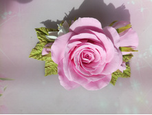 ��������� �� ��������� 350 ���