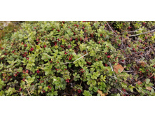 IMG 20200905 121305.jpg