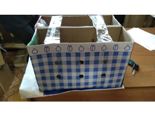 IMG 20200914 102945.jpg