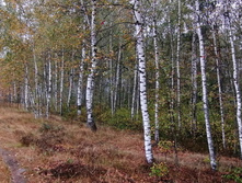 IMG 20200919 102135.jpg