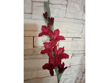 ����� �������