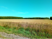 20200822 ��� ��-������� 100219.jpg