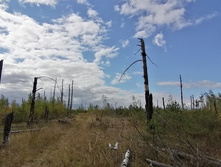 IMG 20200916 121700.jpg