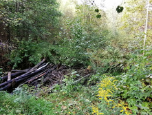 IMG 20200920 141447.jpg