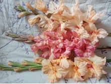 �������� ����� ������� ���� ����.jpg