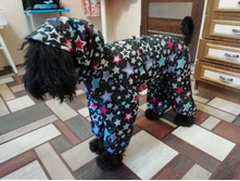 ����������� viber 2020-08-19 17-46-23.jpg