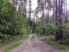 IMG 20200920 135448.jpg